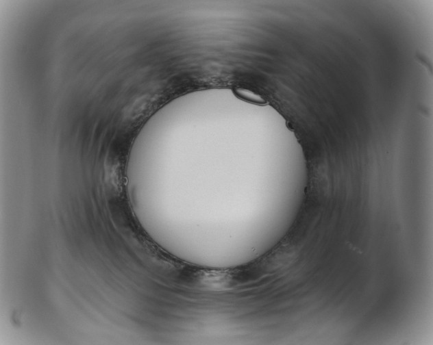 X0000102810088200809021208