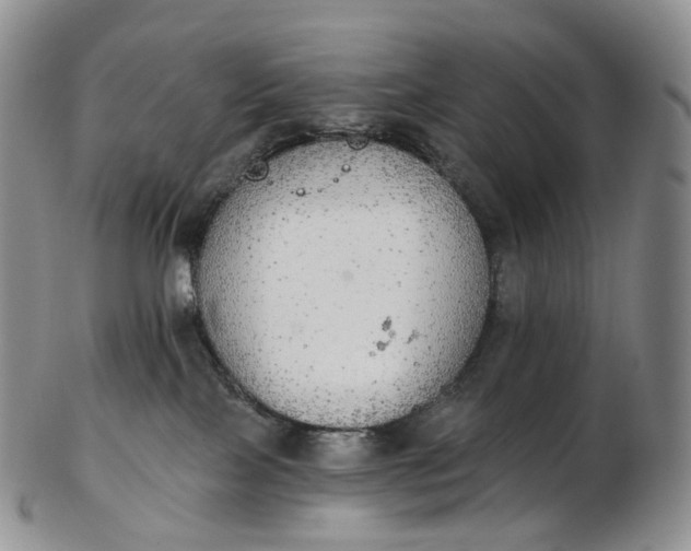 X0000102810089200809021208