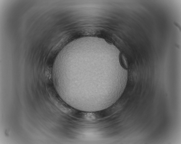 X0000102810091200809021208