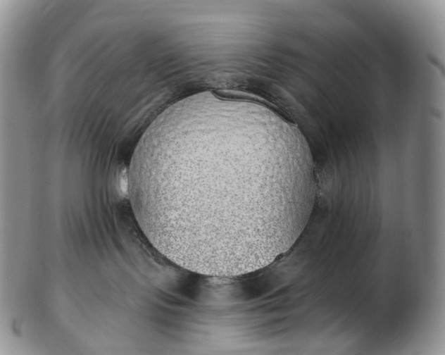 X0000102810095200809021208