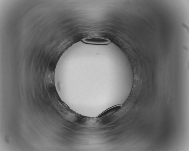 X0000102810096200809021208