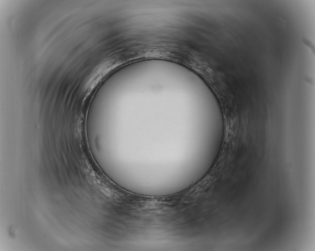 X0000102810098200809021207