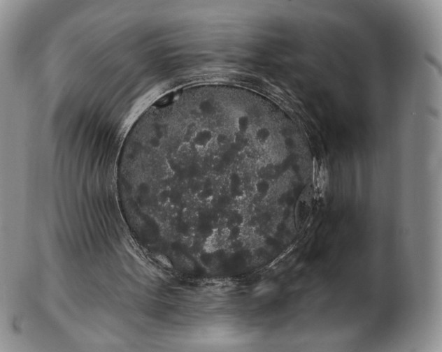 X0000102810099200809021207