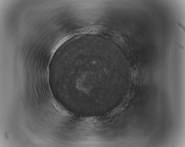 X0000102810100200809021207