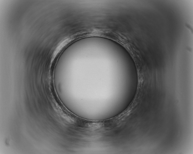 X0000102810102200809021207