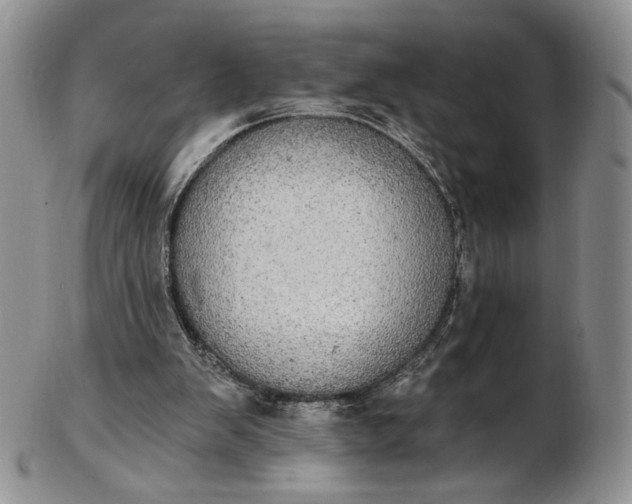 X0000102810103200809021207