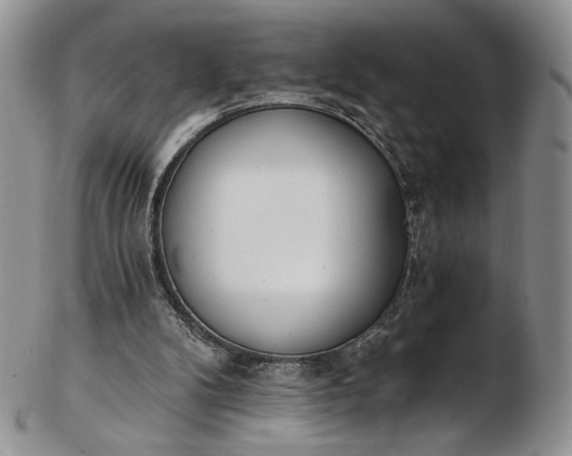 X0000102810104200809021207