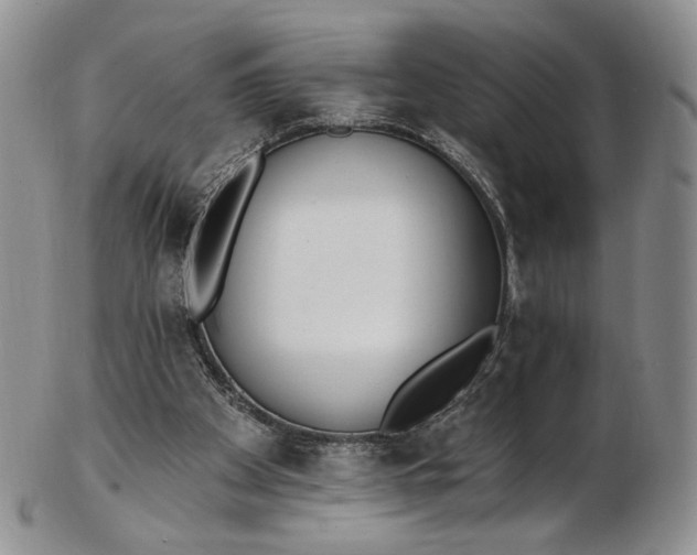 X0000102810105200809021207