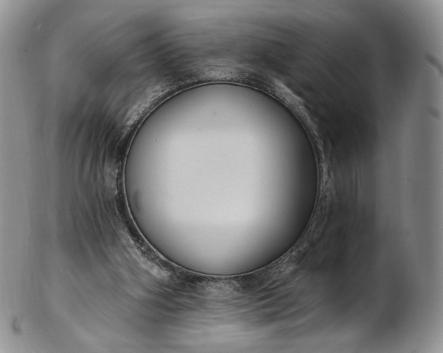 X0000102810106200809021207