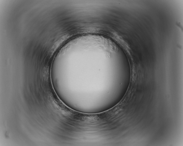 X0000102810107200809021207