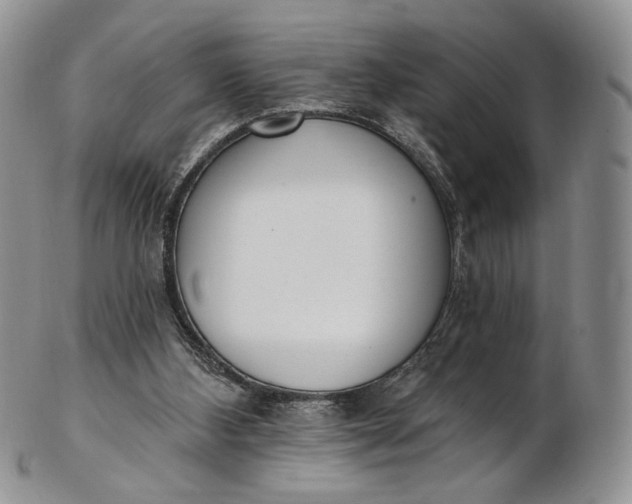 X0000102810108200809021207