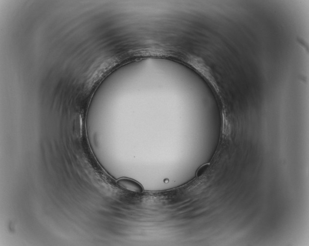 X0000102810109200809021207