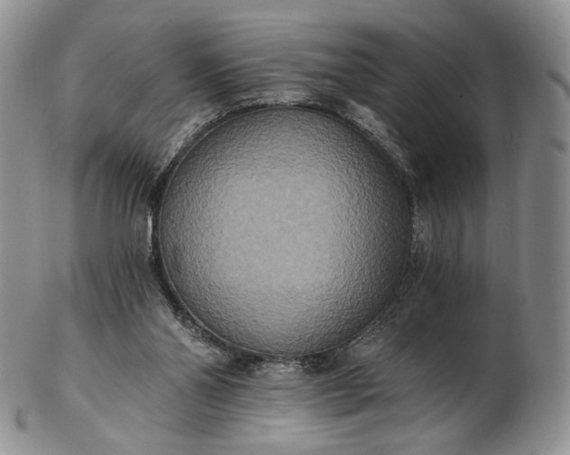 X0000102810110200809021207