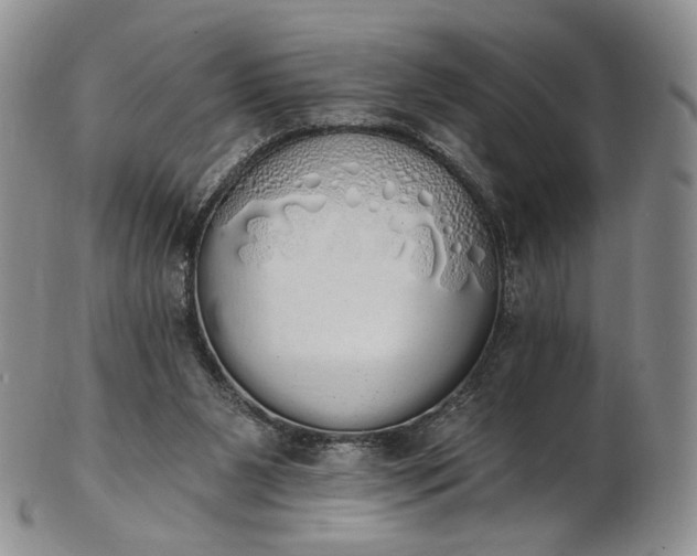 X0000102810111200809021207