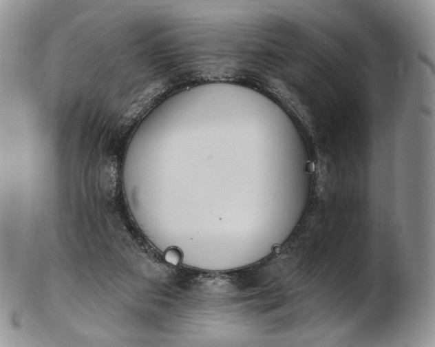 X0000102810113200809021207