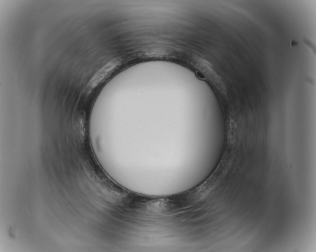 X0000102810116200809021207