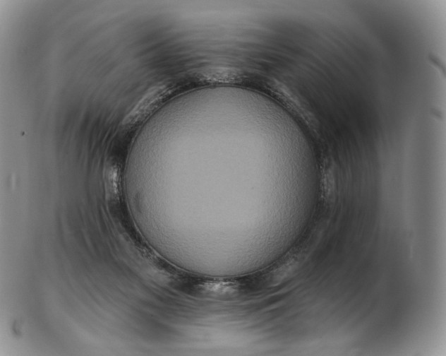 X0000102810117200809021207