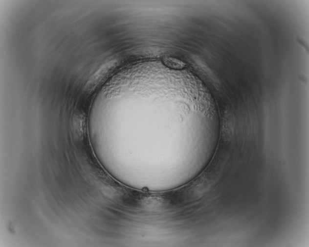 X0000102810119200809021207