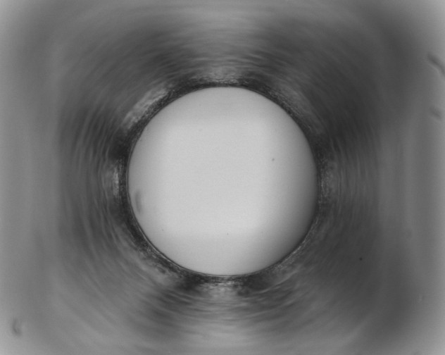 X0000102810120200809021207