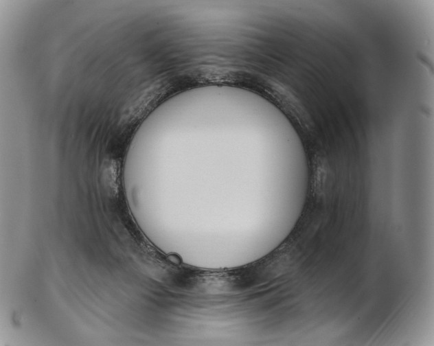 X0000102810121200809021207