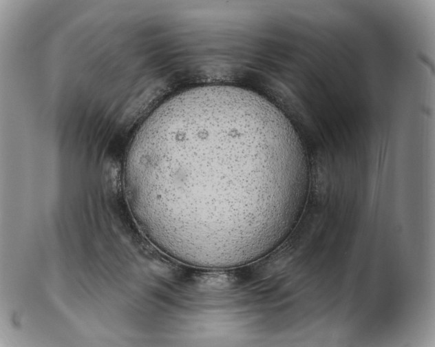 X0000102810123200809021207