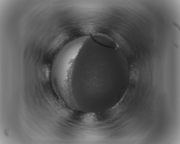 X0000102810124200809021207