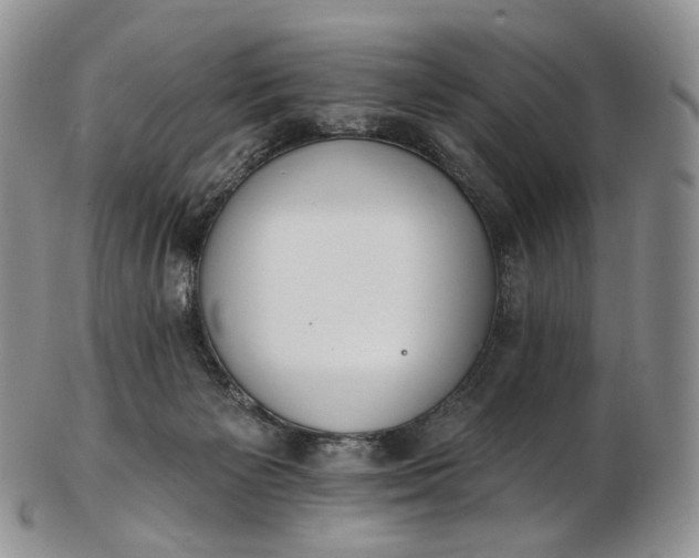 X0000102810125200809021207