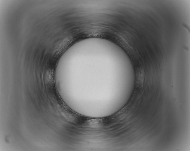 X0000102810126200809021207