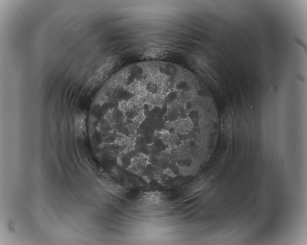 X0000102810127200809021207