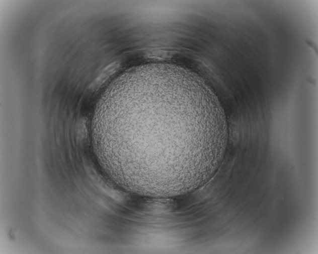 X0000102810128200809021207