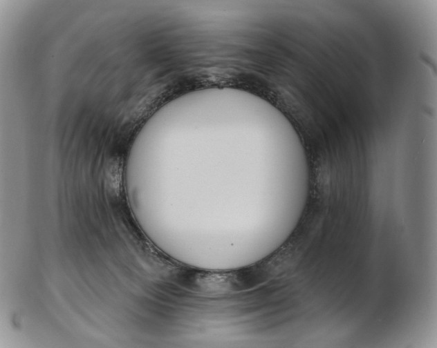 X0000102810129200809021207