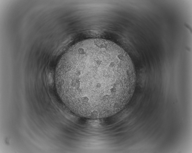 X0000102810131200809021207