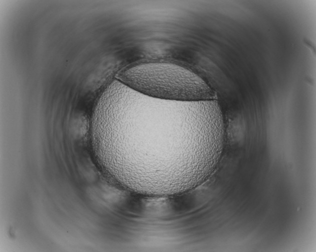 X0000102810132200809021207