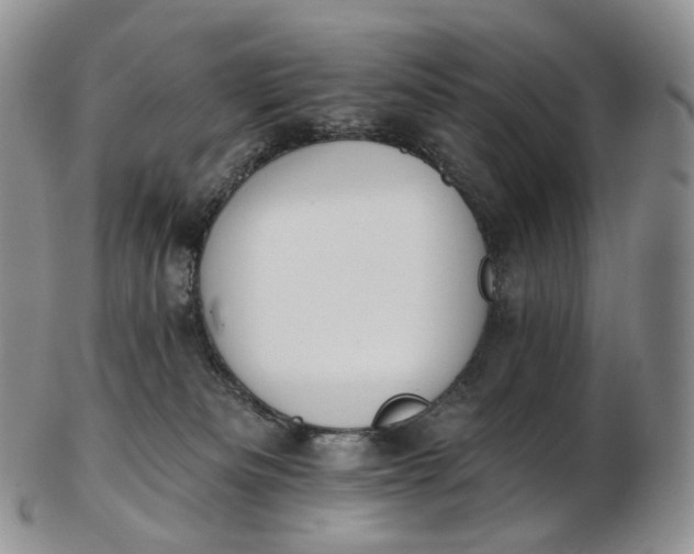 X0000102810133200809021207