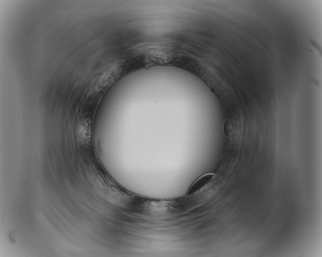 X0000102810134200809021207