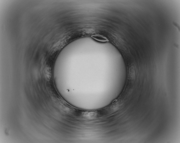 X0000102810135200809021207