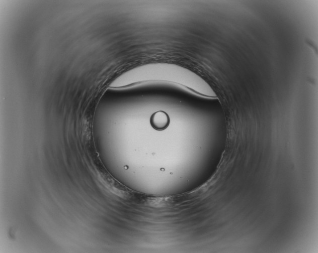 X0000102810136200809021207