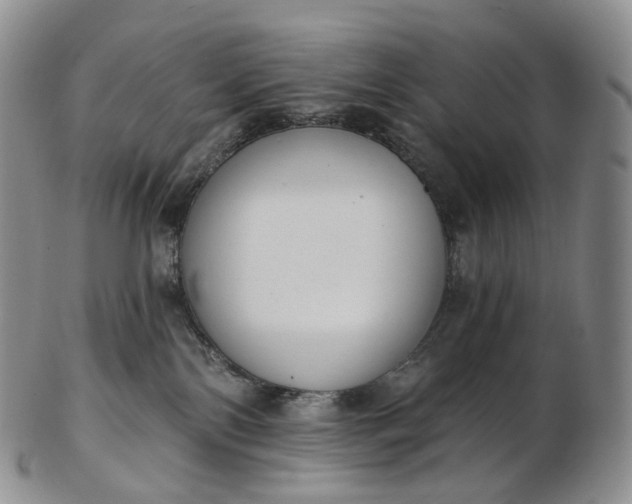 X0000102810138200809021207