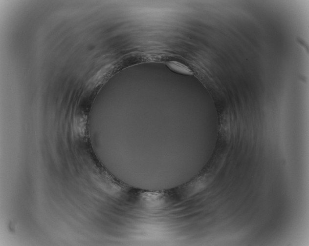 X0000102810139200809021207