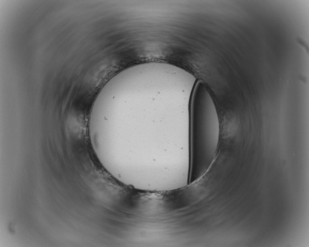 X0000102810140200809021207