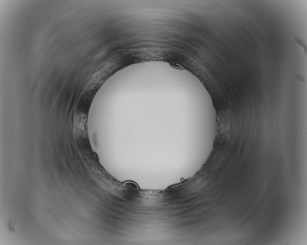 X0000102810141200809021207