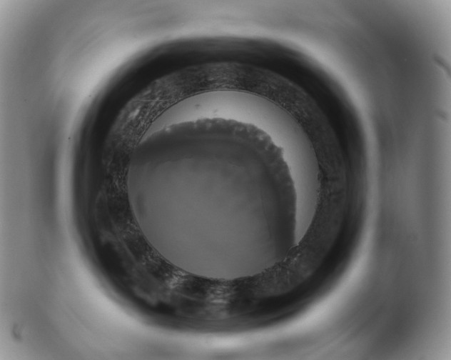 X0000102810143200809021207