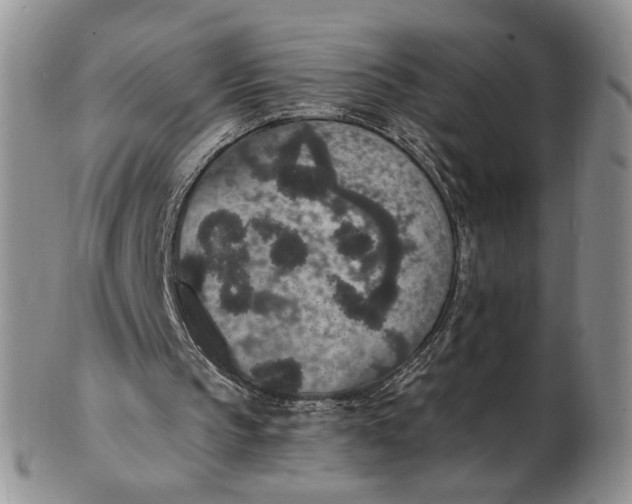 X0000102810145200809021206