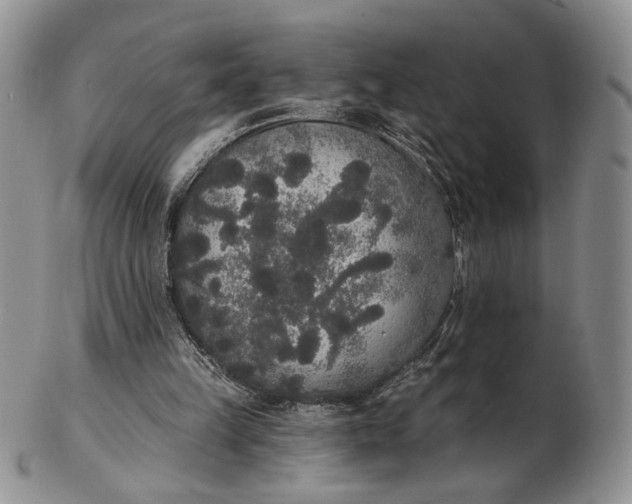 X0000102810149200809021206