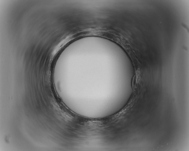 X0000102810150200809021206