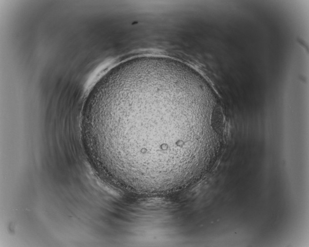 X0000102810151200809021206