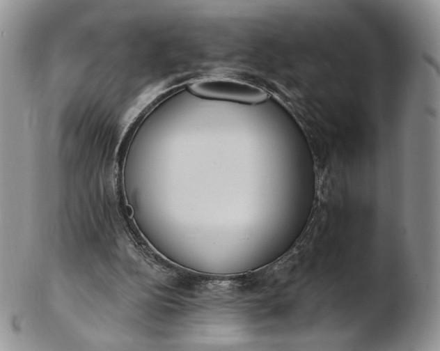 X0000102810152200809021206