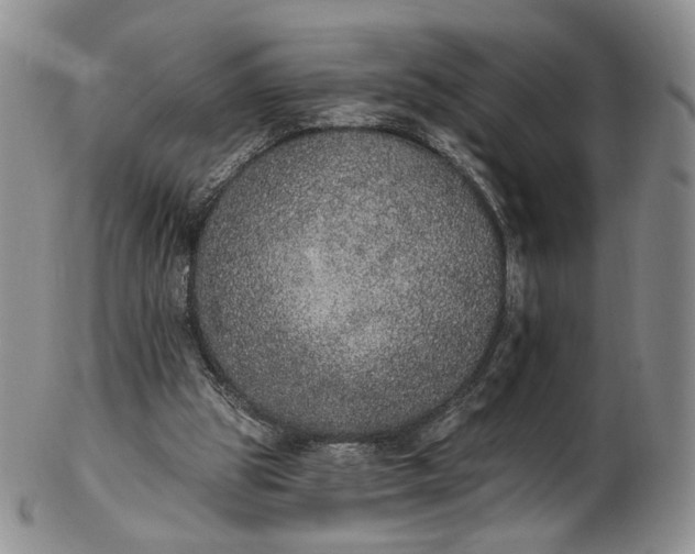 X0000102810153200809021206