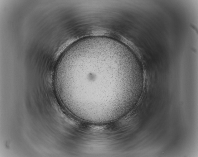 X0000102810155200809021206