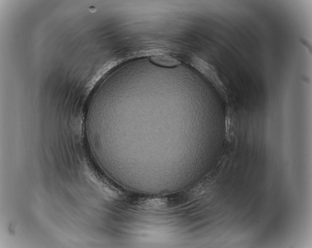 X0000102810156200809021206